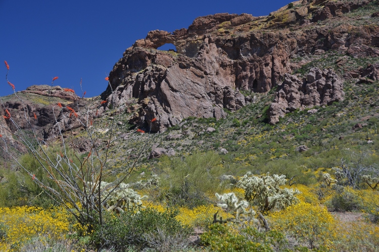 arch at arch canyon